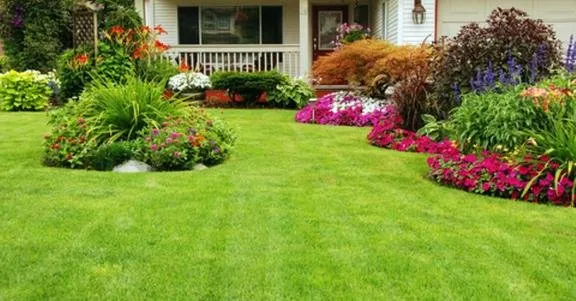 Southern Cuts Landscaping Services