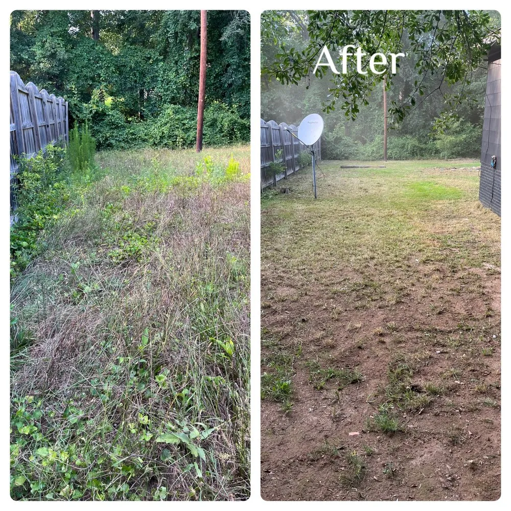 Professional landscape installation experts serving Belton, SC - Southern Cuts Lawn Care