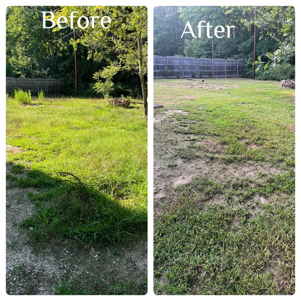 Top-rated landscape design for beautiful yards in Belton, SC by Southern Cuts Lawn Care