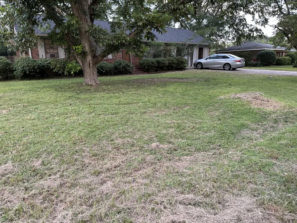 Top-rated landscape installation for homes across Macon, GA - Southern Cuts Lawn Service