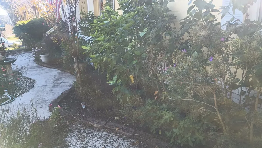 Local garden landscaping in Ocklawaha, FL - Southern Cuts