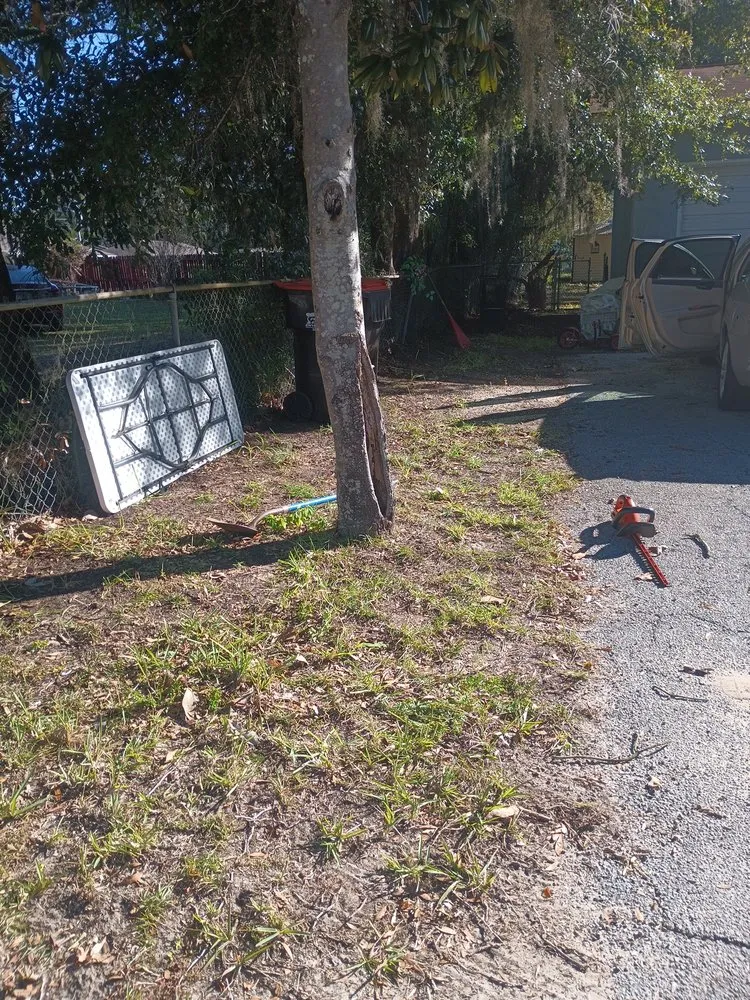 Custom landscape design experts serving Ocklawaha, FL - Southern Cuts