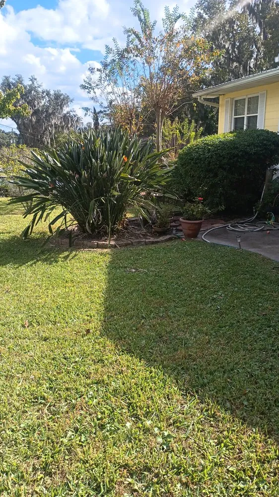 Top-rated yard cleanup service experts serving Ocklawaha, FL - Southern Cuts