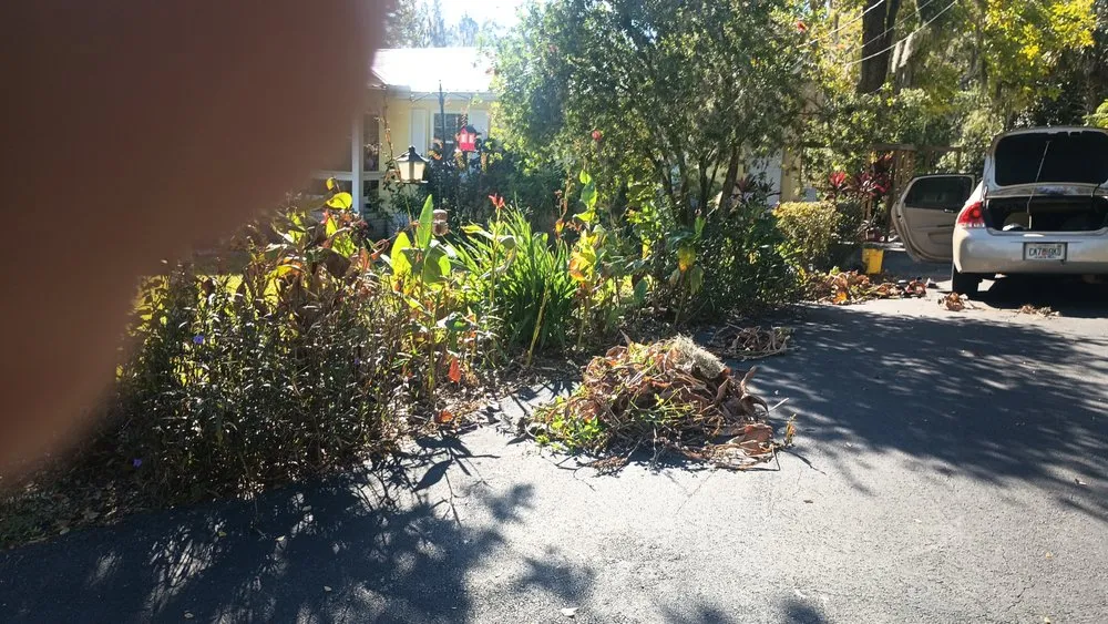 Professional outdoor landscaping near you across Ocklawaha, FL - Southern Cuts