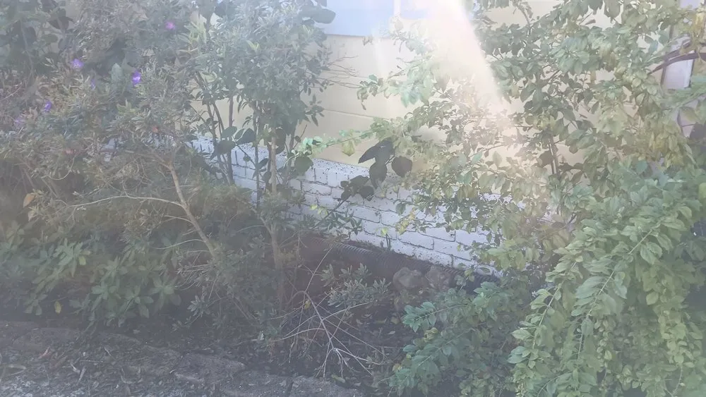 Affordable lawn care service in Ocklawaha, FL - Southern Cuts