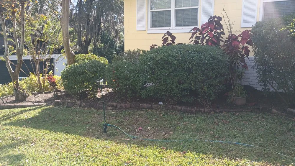 Custom residential landscaping in Ocklawaha, FL - Southern Cuts