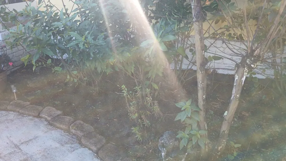 Affordable outdoor landscaping in Ocklawaha, FL by Southern Cuts