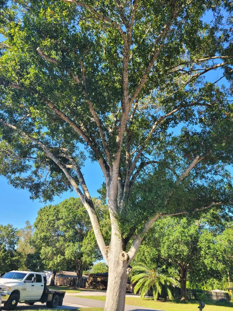 Professional landscaping services in Vero Beach, FL by Southern Cuts of Florida