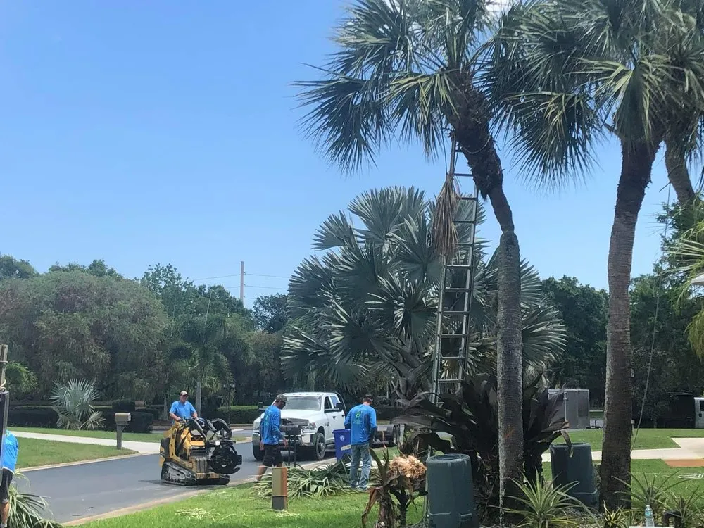 Top-rated residential landscaping in Vero Beach, FL by Southern Cuts of Florida