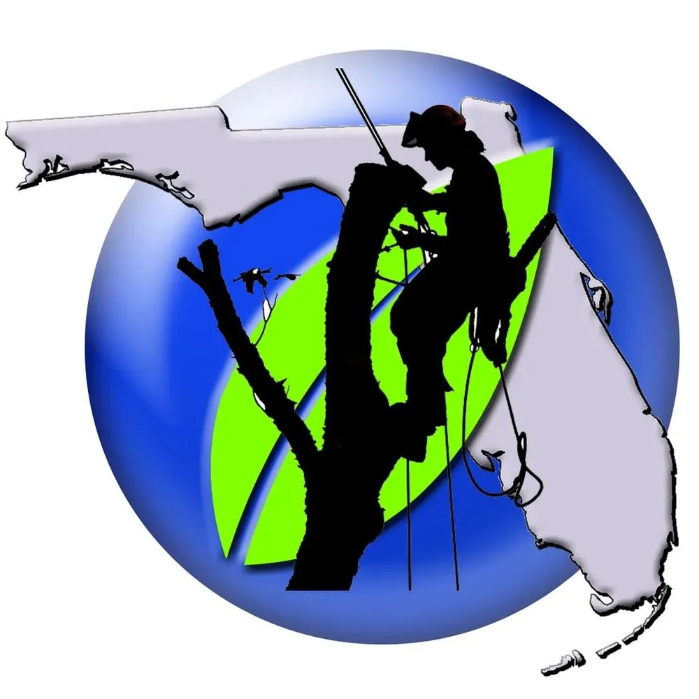 Reliable yard cleanup service for year-round maintenance across Vero Beach, FL - Southern Cuts of Florida