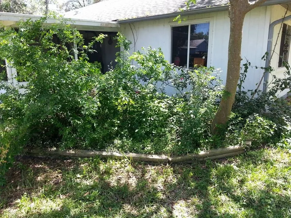 Local yard cleanup service for residential properties across Titusville, FL - Southern Cutters