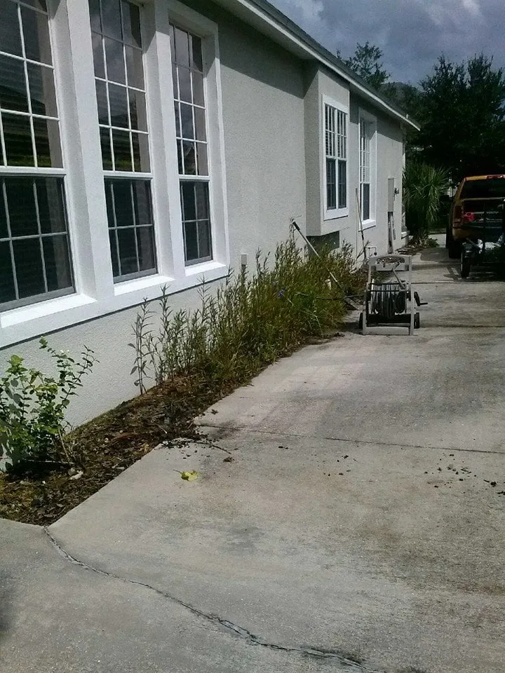 Custom outdoor landscaping in Titusville, FL by Southern Cutters