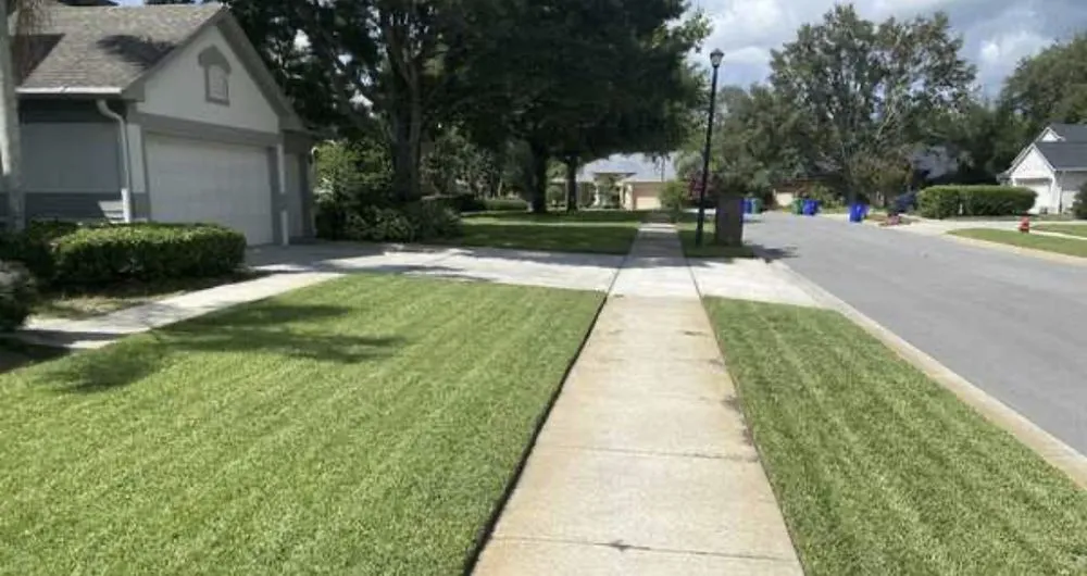 Reliable landscape design for beautiful yards in Four Oaks, NC by Southern Cutz