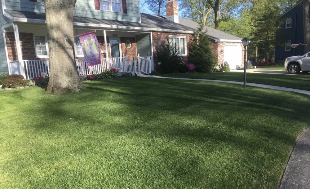 Local garden landscaping experts serving Four Oaks, NC - Southern Cutz