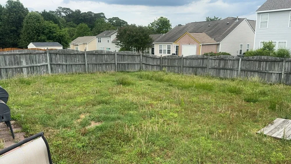 Affordable landscape design for year-round maintenance in Black Creek, NC by Southern Cutz Lawn & Landscaping