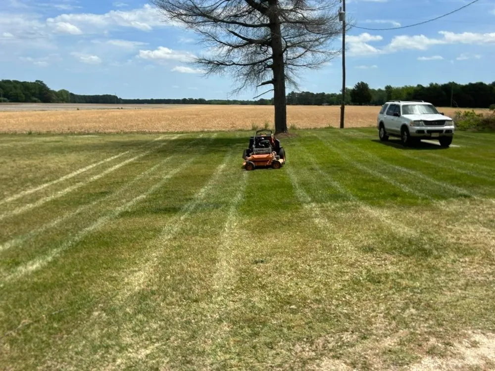 Local lawn care service for beautiful yards across Black Creek, NC - Southern Cutz Lawn & Landscaping