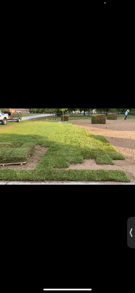 Professional outdoor landscaping for residential properties across Lamar, SC - Southern Design Landscaping