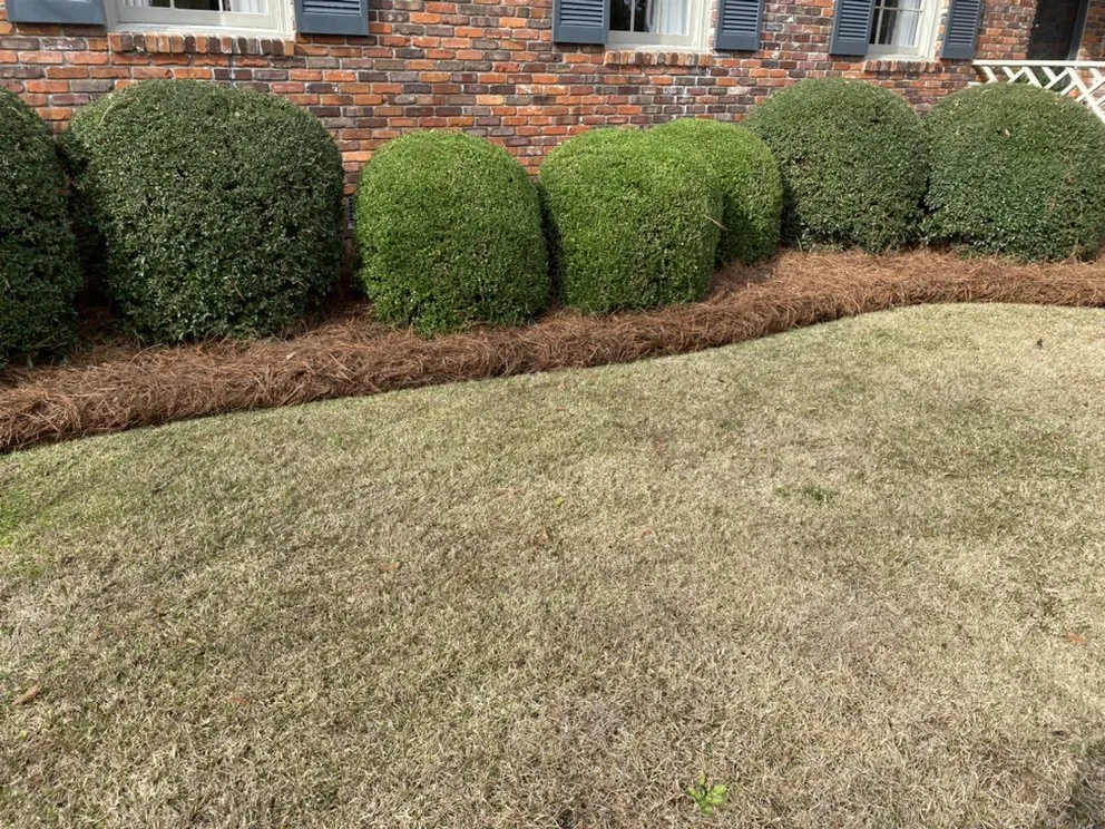 Custom landscape design for beautiful yards across Lamar, SC - Southern Design Landscaping