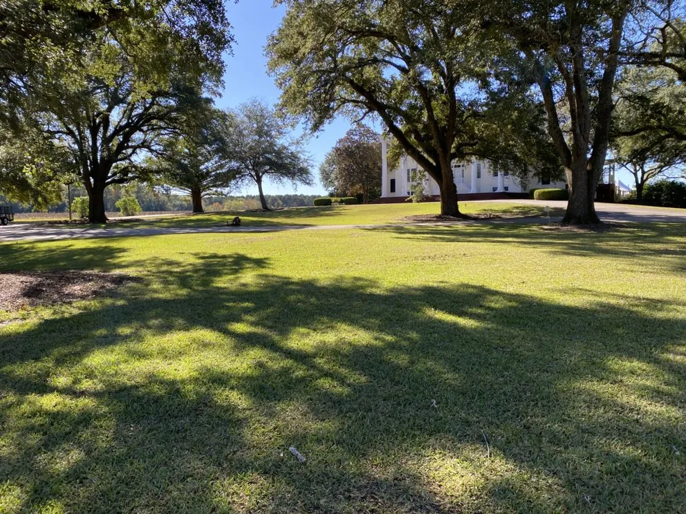 Custom lawn care service in Lamar, SC - Southern Design Landscaping