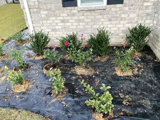 Southern Design Landscaping