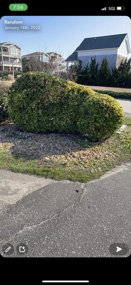 Professional residential landscaping in Maple, NC by Southern Designs Landscaping