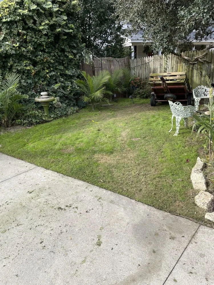 Trusted lawn mowing service for residential properties across Maple, NC - Southern Designs Landscaping