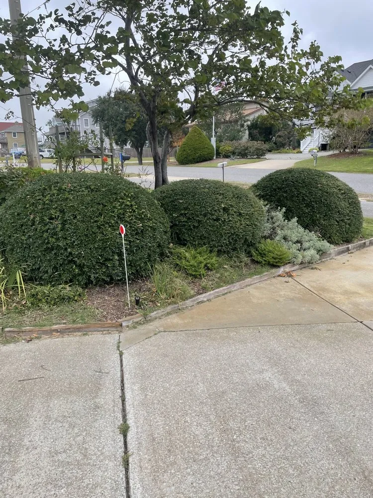 Top-rated residential landscaping for outdoor upgrades across Maple, NC - Southern Designs Landscaping