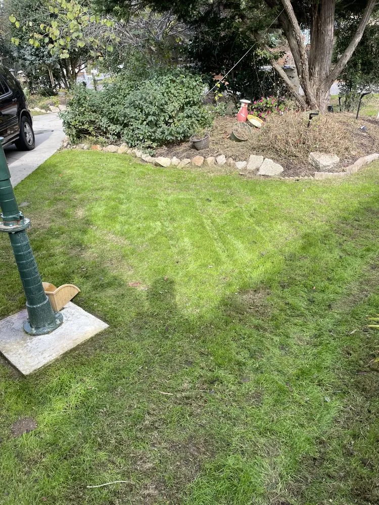 Reliable landscape design in Maple, NC - Southern Designs Landscaping