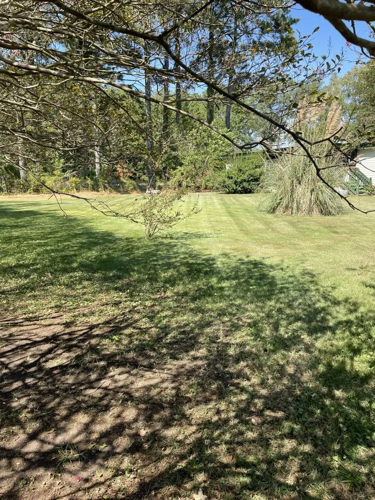 Reliable landscaping services in Maple, NC - Southern Designs Landscaping