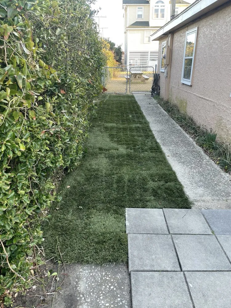 Professional lawn care service in Maple, NC - Southern Designs Landscaping