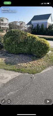 Southern Designs Landscaping