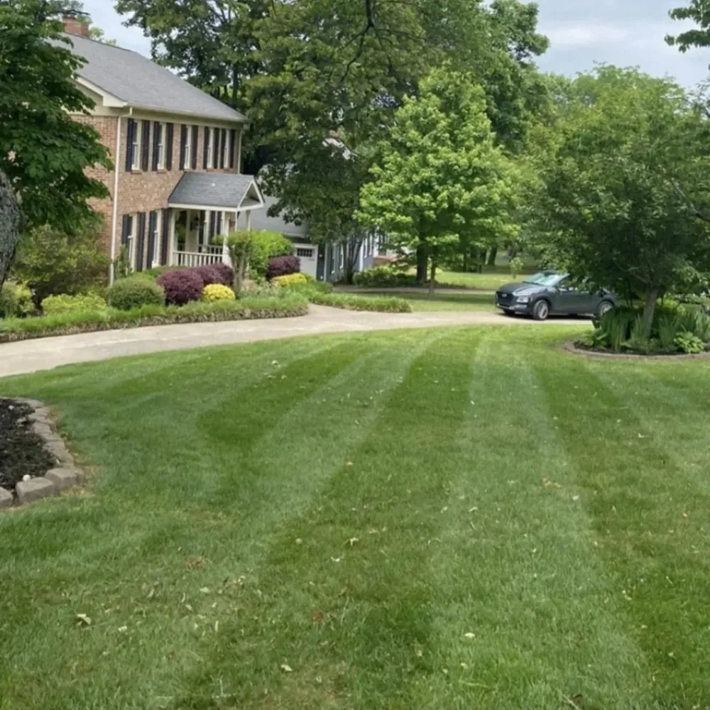 Professional residential landscaping in Chattanooga, TN by Southern Dirt and Turf
