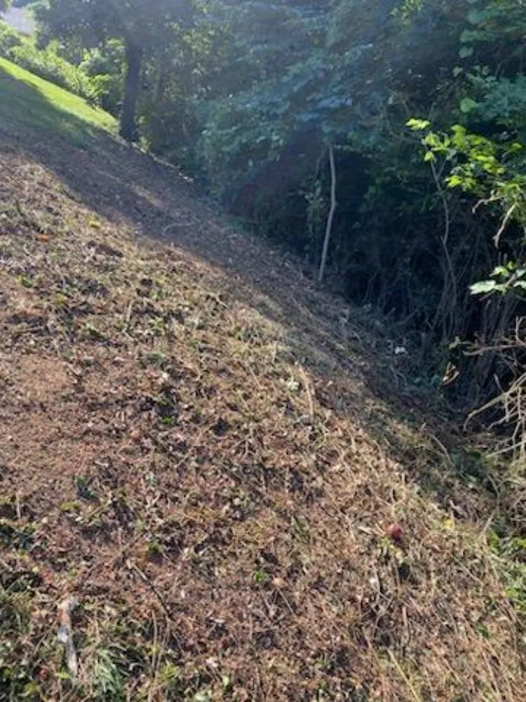 Professional yard maintenance experts serving Chattanooga, TN - Southern Dirt and Turf