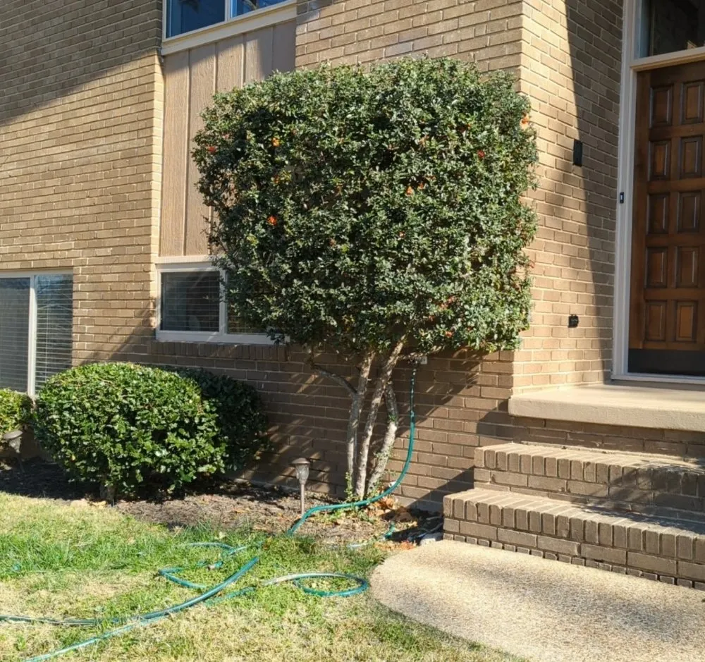 Affordable lawn care service with custom design across Chattanooga, TN - Southern Dirt and Turf