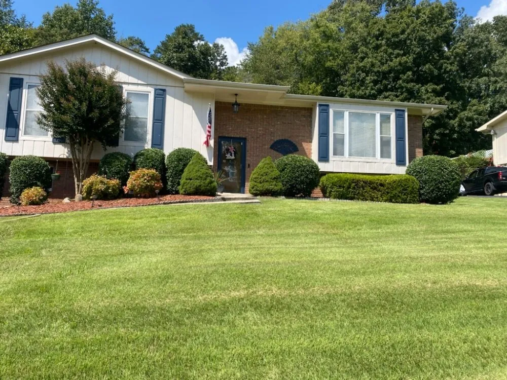 Professional outdoor landscaping in Chattanooga, TN by Southern Dirt and Turf