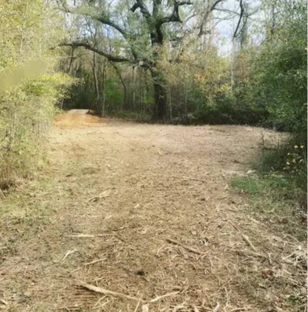 Custom garden landscaping in Chattanooga, TN by Southern Dirt and Turf