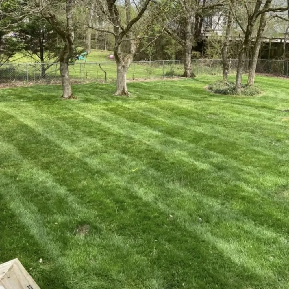 Top-rated garden landscaping experts serving Chattanooga, TN - Southern Dirt and Turf