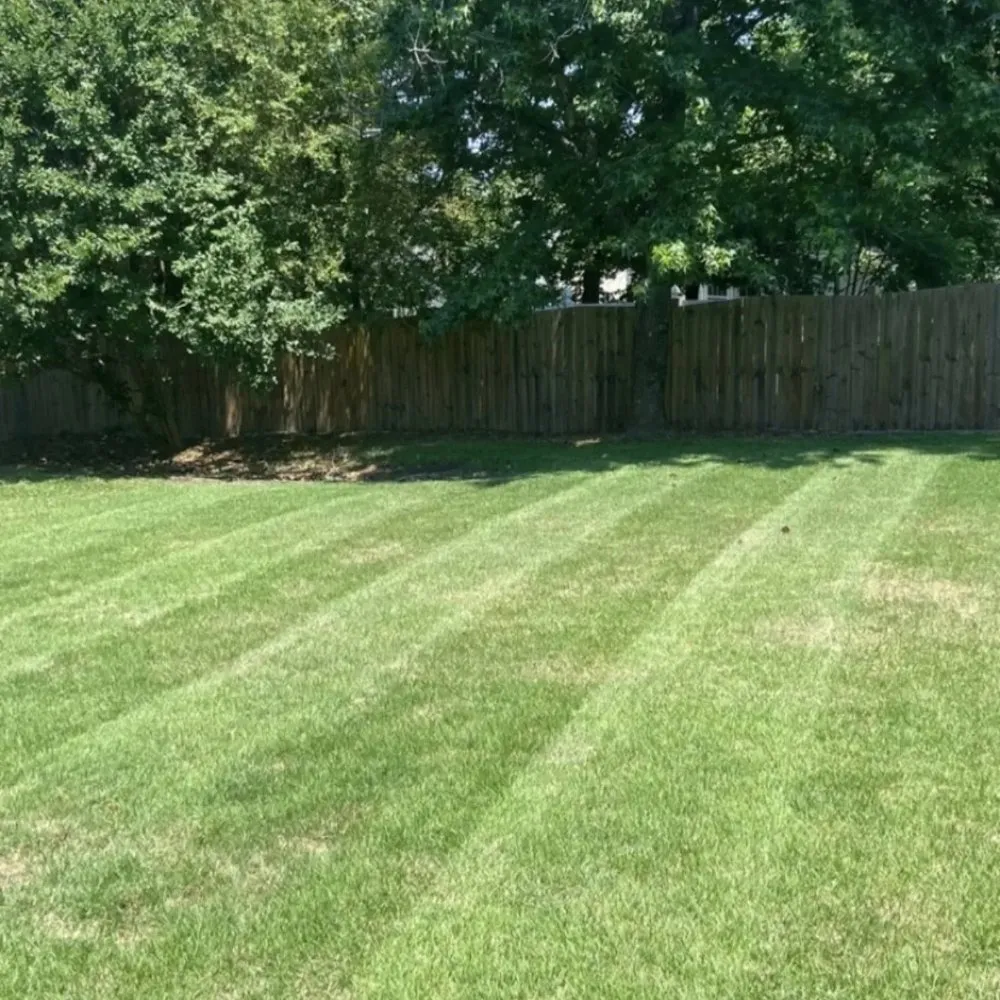 Top-rated landscape design in Chattanooga, TN by Southern Dirt and Turf