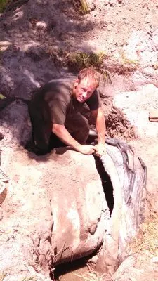 Trusted landscaping services for outdoor upgrades across Tarpon Springs, FL - Southern Drainage Systems