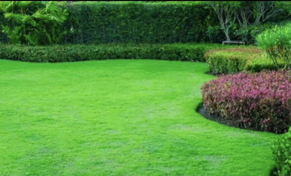 Expert yard maintenance for homes in Murfreesboro, TN by Southern Dream Landscaping