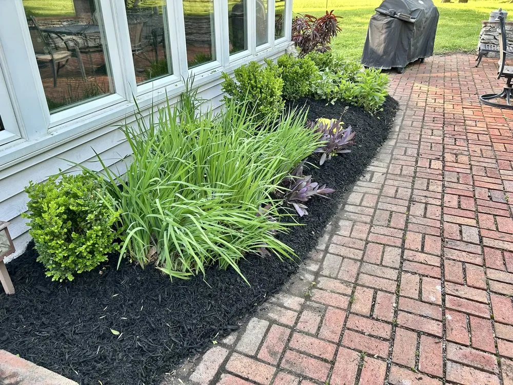 Custom lawn care service for beautiful yards across Tampa Bay, FL - Southern Dreams Landscaping