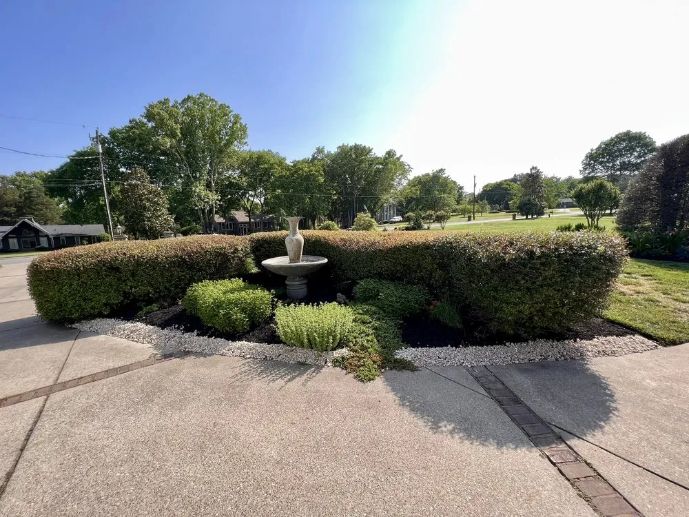 Affordable landscaping services in Tampa Bay, FL by Southern Dreams Landscaping