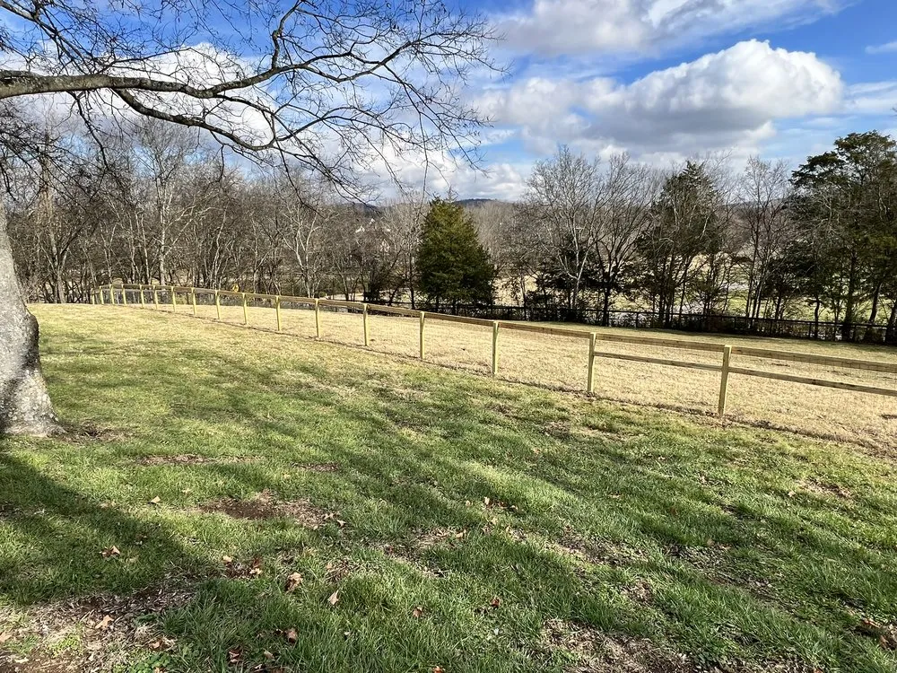 Reliable landscaping services experts serving Tampa Bay, FL - Southern Dreams Landscaping