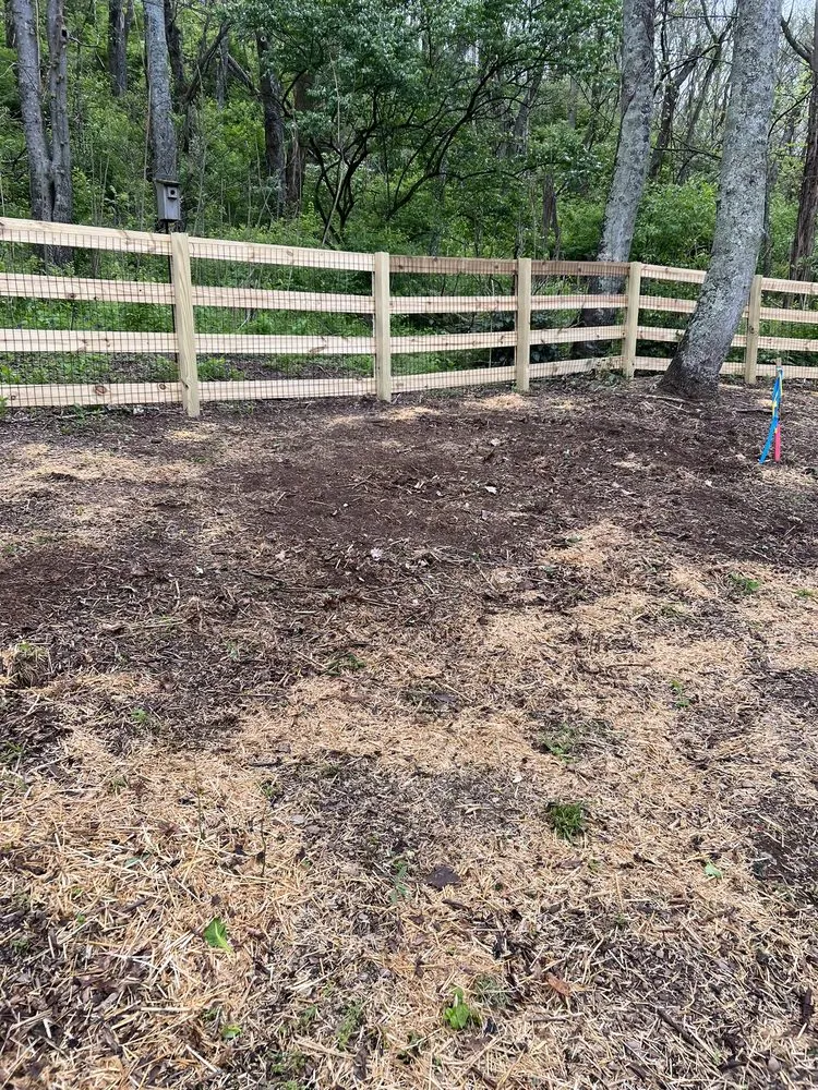 Expert residential landscaping in Tampa Bay, FL by Southern Dreams Landscaping