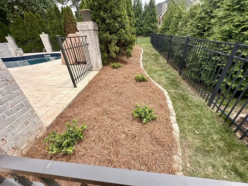 Expert yard cleanup service for year-round maintenance in Tampa Bay, FL by Southern Dreams Landscaping