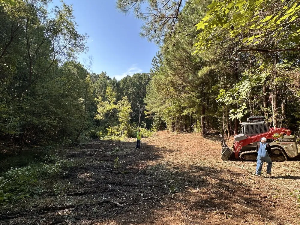 Top-rated landscape design experts serving Fayetteville, GA - Southern Earthworks