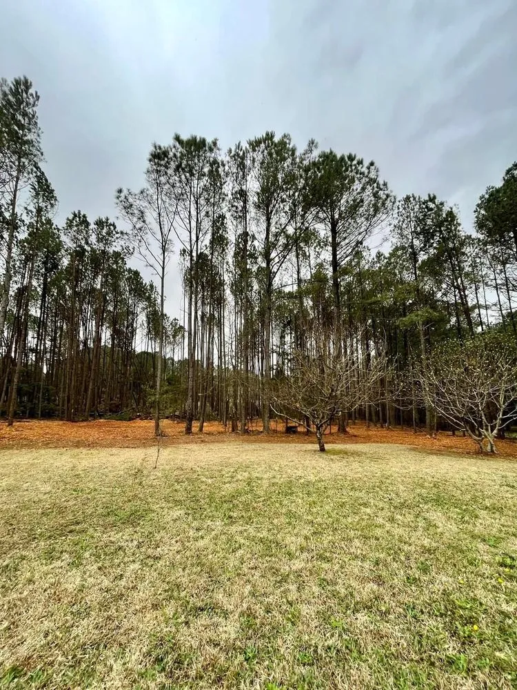 Affordable lawn care service for beautiful yards in Fayetteville, GA by Southern Earthworks