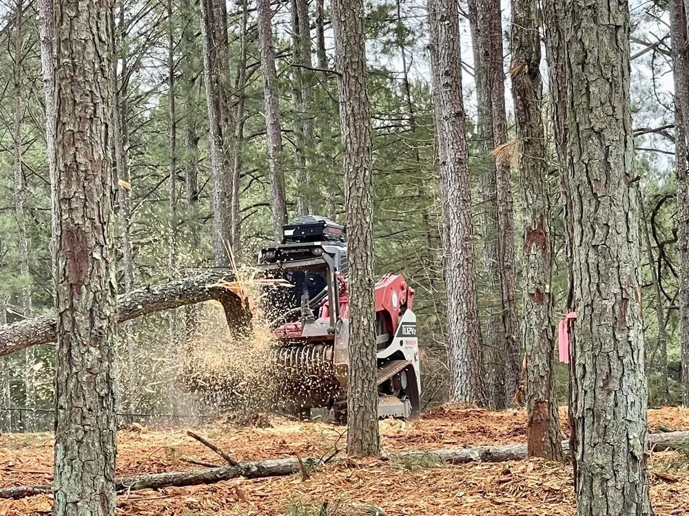 Expert residential landscaping experts serving Fayetteville, GA - Southern Earthworks