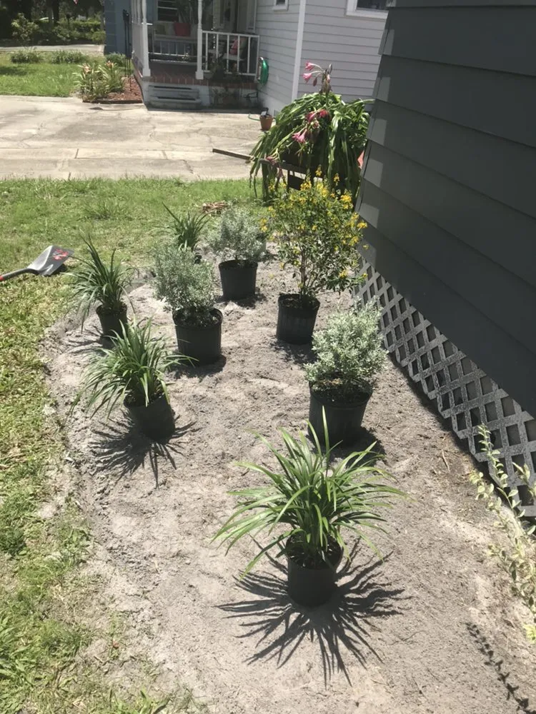 Top-rated garden landscaping for residential properties in Tampa, FL by Southern Edge Landscape & Design