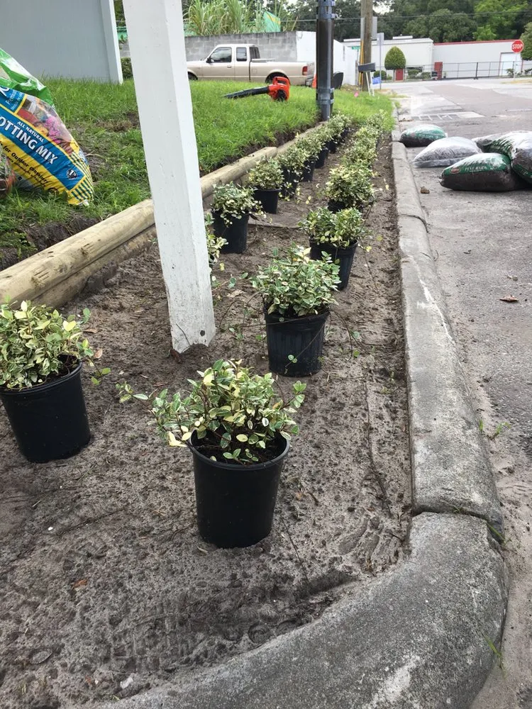 Top-rated lawn mowing service experts serving Tampa, FL - Southern Edge Landscape & Design